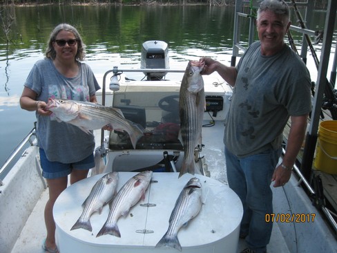 Nice Striped Bass